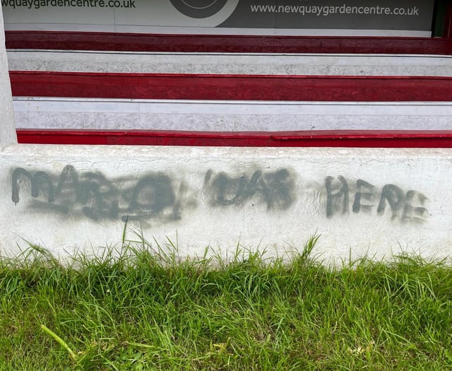 Newquay Football Club hit by worst vandalism in 50 years 