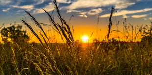 Cornwall's agricultural landscape set to undergo a green revolution