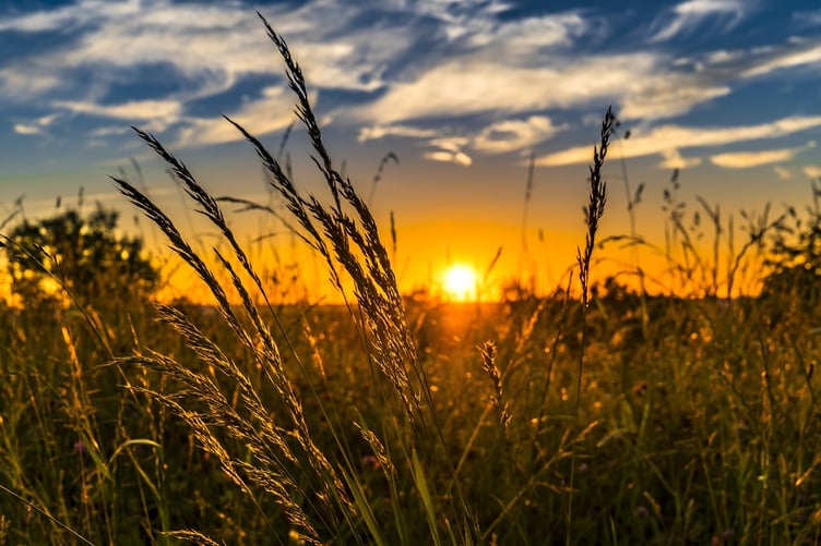 Agri Carbon Kernow launches to support Cornwall farmers in tackling climate change