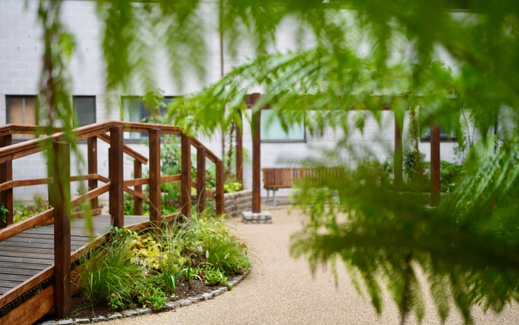The Critical Care Healing Garden