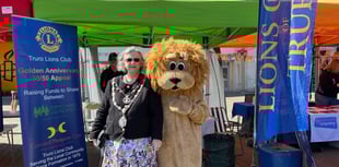Join Truro Volunteers Day: Youth groups needed