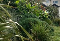 Community invited to enter Newquay's annual garden competition