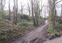 Woodland at Mount Hawke registered as common land
