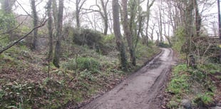 Woodland at Mount Hawke registered as common land
