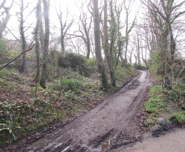 Woodland at Mount Hawke registered as common land