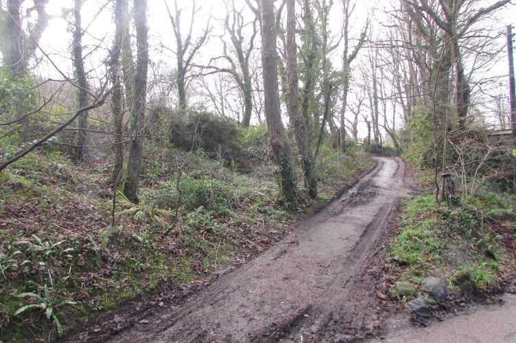 Parts of Lower Banns, near Mount Hawke, have been registered as common land