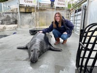Sanctuary manager will be soaring for seals 