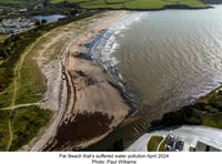 MP relieved after desalination plant proposal at Par Docks is refused