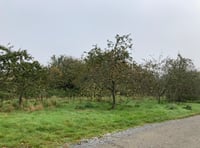 Controversial National Trust plan for Truro estate will cause “chaos”