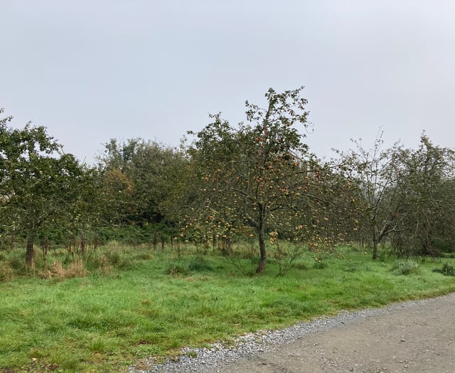 Controversial National Trust plan for Truro estate will cause “chaos”