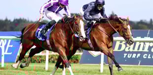 Plenty of winners in various competitions