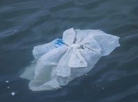 Organisations work together to help reduce marine plastic in project