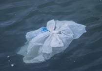 Organisations work together to help reduce marine plastic in project