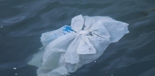 Organisations work together to help reduce marine plastic in project
