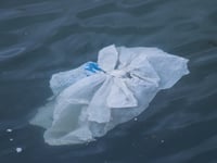 Organisations work together to help reduce marine plastic in project