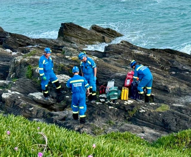 Emergency services help two casualties