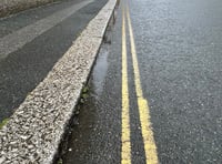 Fears Newquay will be 'ruined' following vote to stop spraying weeds