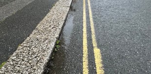 Fears Newquay will be 'ruined' following vote to stop spraying weeds