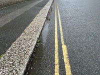 Fears Newquay will be 'ruined' following vote to stop spraying weeds