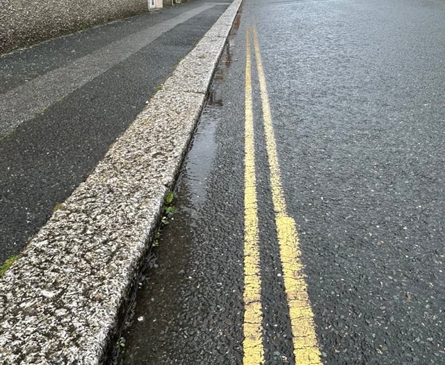 Fears Newquay will be 'ruined' following vote to stop spraying weeds