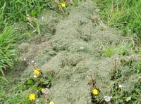 Residents urged not to fly-tip waste into a community garden