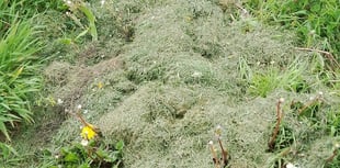 Residents urged not to fly-tip waste into a community garden