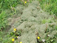 Residents urged not to fly-tip waste into a community garden