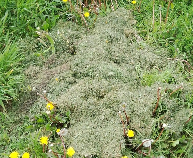Residents urged not to fly-tip waste into a community garden