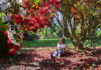 Spring has sprung at Trelissick