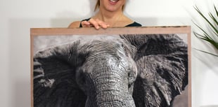 Wildlife artist shortlisted for internationally renowned award
