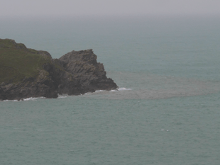 Sewage pollution claim against SWW
