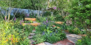 Triumph at RHS Chelsea Flower Show 