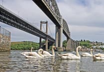 Henwyn tyller/Place names - Saltash