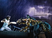 Review: Life of Pi, Hall For Cornwall 