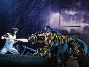 Review: Life of Pi, Hall For Cornwall 