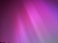 The Night Sky in June, with Brian Sheen