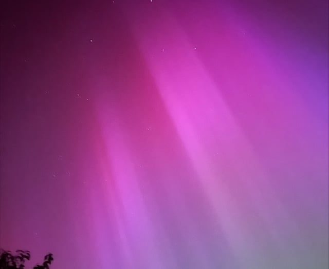 The Night Sky in June, with Brian Sheen