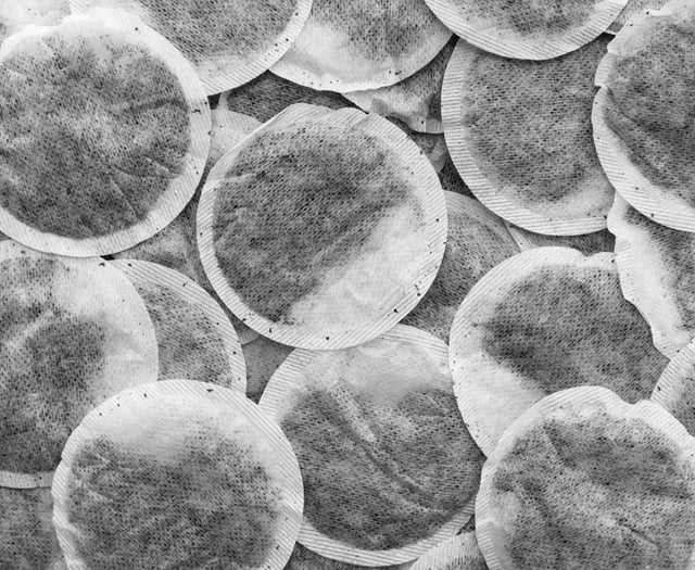 Kirstie Newton: How eco-friendly are your tea bags?