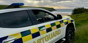 Safety warning after dog dies falling from cliff