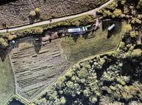 Emmaus tree nursery seeks volunteers