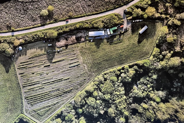 Emmaus tree nursery seeks volunteers