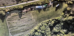 Emmaus tree nursery seeks volunteers