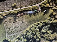 Emmaus tree nursery seeks volunteers