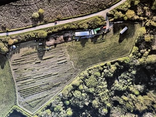 Emmaus tree nursery seeks volunteers
