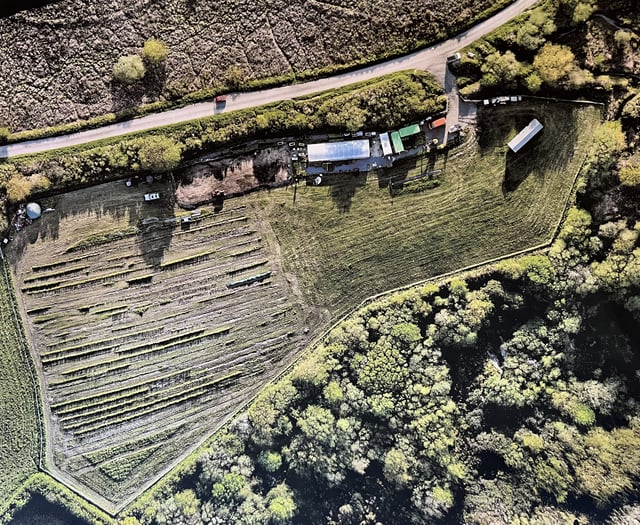 Emmaus tree nursery seeks volunteers