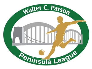 Liskeard and Newquay set for next chapter of thrilling title race