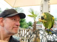 Plucky parrot rides with family peloton for charity