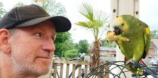 Plucky parrot rides with family peloton for charity