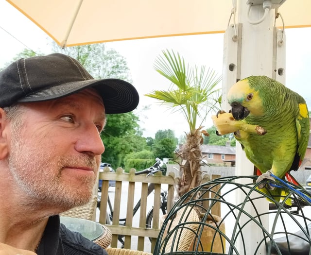 Plucky parrot rides with family peloton for charity