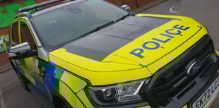 Police continue to appeal for information following an alleged assault